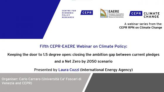 White background with black text "Fifth CEPR/EAERE Webinar on Climate Policy: The Transition to Net Zero by 2050" with CEPR logos 